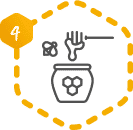 icon honey collection.png